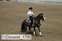 11deseret_1795 thumbnail