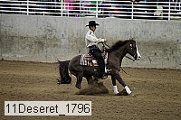 11deseret_1796 thumbnail