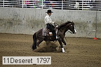 11deseret_1797 thumbnail