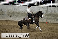 11deseret_1799 thumbnail