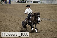 11deseret_1800 thumbnail
