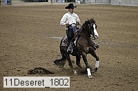 11deseret_1802 thumbnail