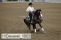 11deseret_1803 thumbnail