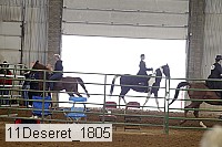 11deseret_1805 thumbnail