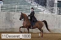 11deseret_1808 thumbnail