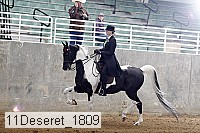 11deseret_1809 thumbnail