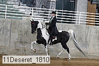 11deseret_1810 thumbnail