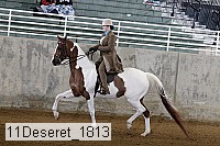 11deseret_1813 thumbnail