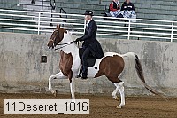 11deseret_1816 thumbnail