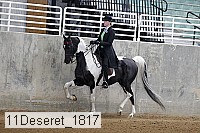 11deseret_1817 thumbnail