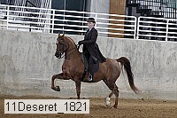 11deseret_1821 thumbnail