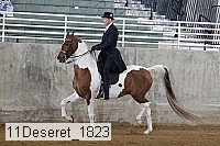 11deseret_1823 thumbnail