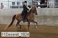 11deseret_1824 thumbnail