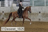 11deseret_1825 thumbnail