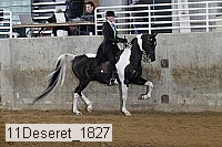 11deseret_1827 thumbnail