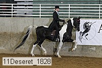 11deseret_1828 thumbnail