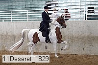 11deseret_1829 thumbnail