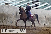 11deseret_1830 thumbnail