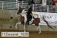 11deseret_1835 thumbnail