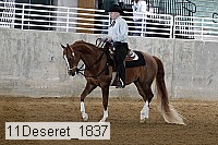 11deseret_1837 thumbnail