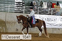 11deseret_1841 thumbnail