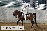 11deseret_1847 thumbnail