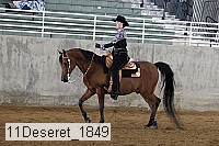 11deseret_1849 thumbnail