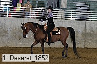 11deseret_1852 thumbnail