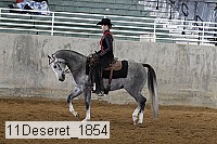 11deseret_1854 thumbnail