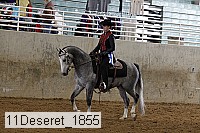 11deseret_1855 thumbnail