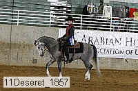 11deseret_1857 thumbnail