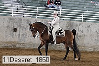 11deseret_1860 thumbnail