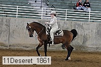 11deseret_1861 thumbnail