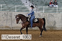 11deseret_1863 thumbnail