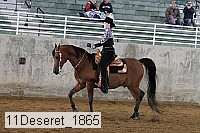 11deseret_1865 thumbnail