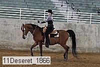 11deseret_1866 thumbnail