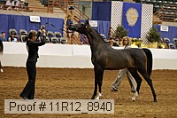 11r12_8940 thumbnail