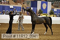 11r12_8941 thumbnail