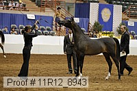 11r12_8943 thumbnail