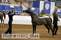 11r12_8944 thumbnail