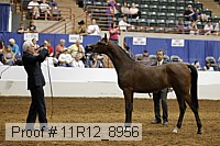 11r12_8956 thumbnail
