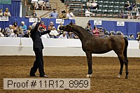 11r12_8959 thumbnail