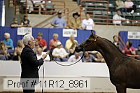 11r12_8961 thumbnail