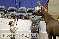 11r12_9031 thumbnail