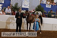 11r12_9066 thumbnail