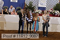 11r12_9087 thumbnail