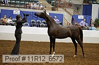11r12_6572 thumbnail