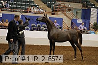 11r12_6574 thumbnail