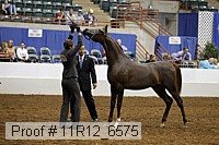 11r12_6575 thumbnail