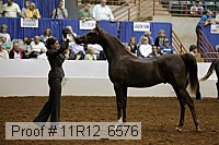 11r12_6576 thumbnail